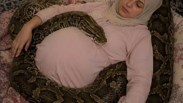 لمحة نيوز